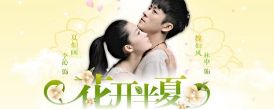​花开半夏最终结局