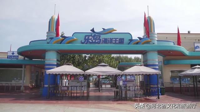 潮玩街区打卡（潮流畅玩家打卡）(1)