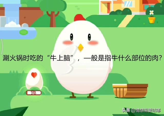涮羊肉的牛上脑是哪个部位（蚂蚁庄园涮火锅时吃的）(1)