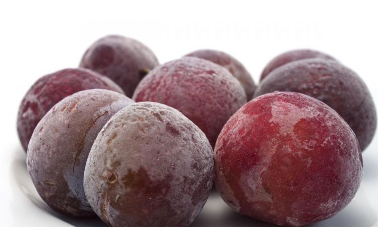 李子能保存多长时间