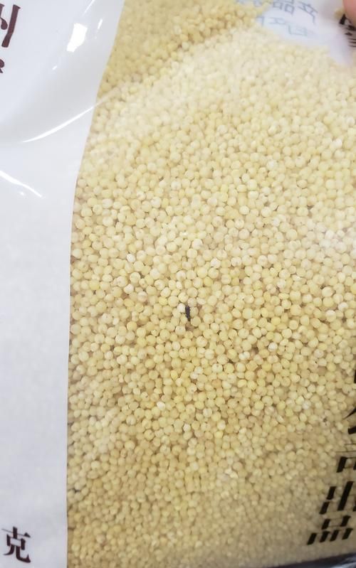 大米生白色蠕虫怎么办