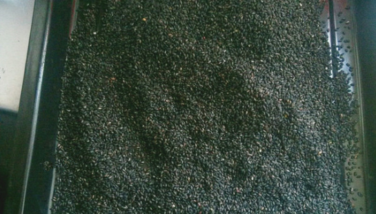 阿胶糕是软的还是硬的,自制的红枣阿胶糕是软的还是硬的好图7