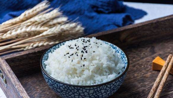 面条的热量高还是米饭,米饭热量高还是面条热量高图2