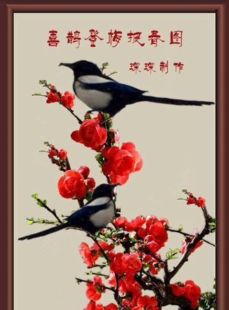 梅花的象征意义：梅花象征什么