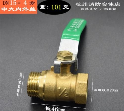 一般家里水总闸在哪个位置长什么样