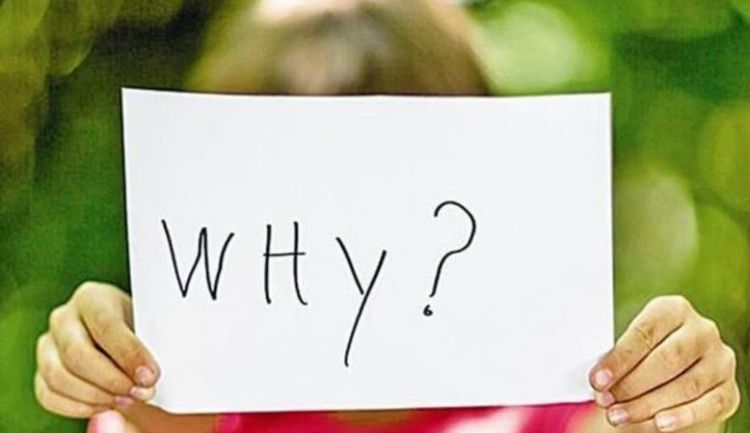 循循善诱是什么意思