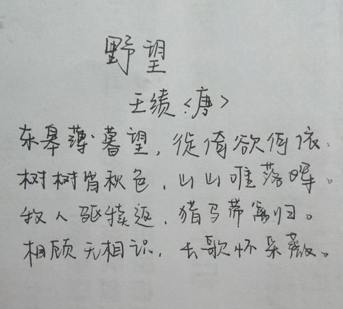 野望王绩原文及翻译赏析