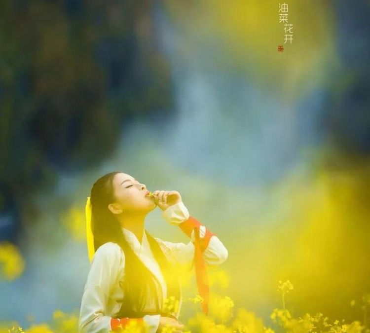 陌上花开不见君的意思