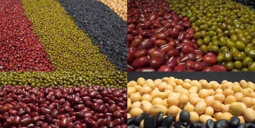 蒸箱煮粥要多长时间