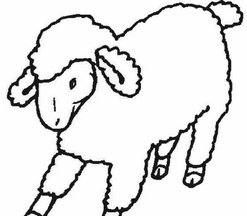 羊简笔画,羊的简笔画怎么画最简单图3