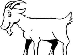 羊简笔画,羊的简笔画怎么画最简单图5
