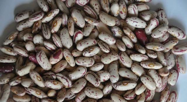 豆妃是什么蔬菜，芸豆，是我们喜爱的蔬菜之一，它营养丰富，请问怎样管理才能获得高产？图6