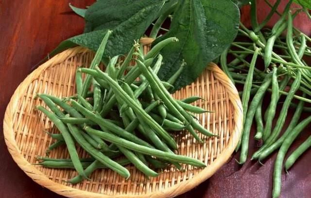 豆妃是什么蔬菜，芸豆，是我们喜爱的蔬菜之一，它营养丰富，请问怎样管理才能获得高产？图1