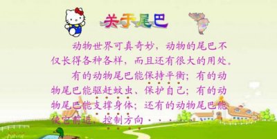 ​尾巴的作用，你还知道哪些动物尾巴的作用？