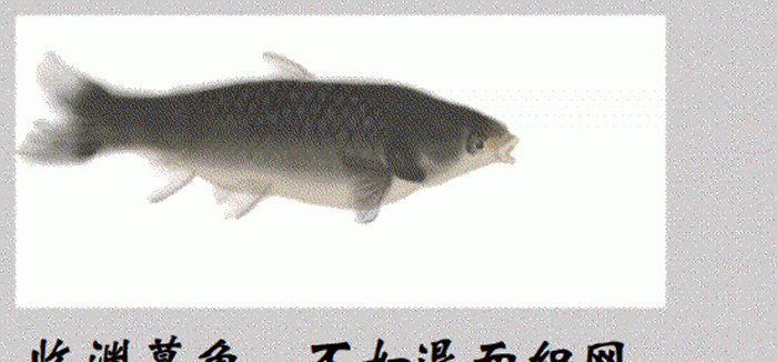 临渊羡鱼不如退而结网