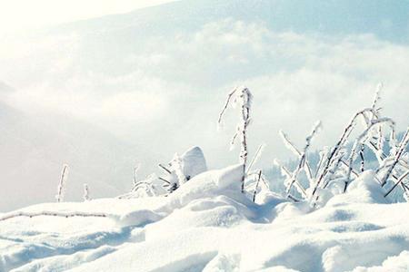 什么的雪白填空