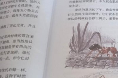 ​昆虫记蚂蚁的习性