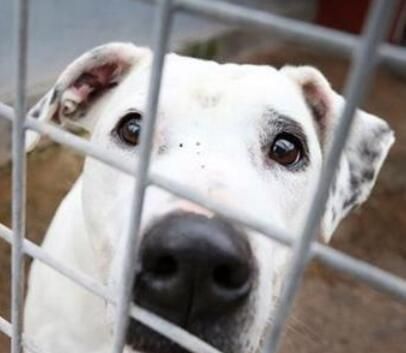 期待落空写一段话，期待落空的情景写一段话五年级50字？图3