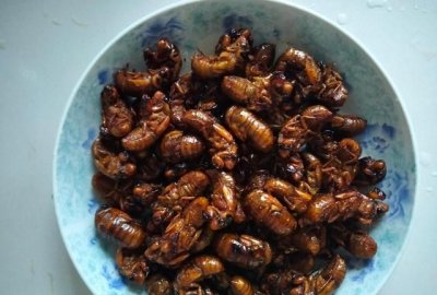 ​蝉怎么炒好吃,上海怎么炒才好吃