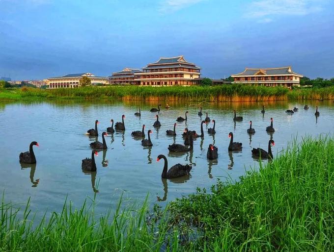 五缘湾属于哪个区(厦门五缘湾是哪个区)