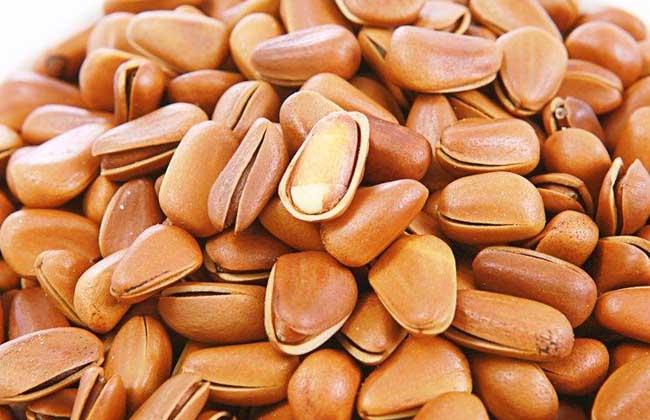 松籽的作用与功效（关于松籽的作用与功效）