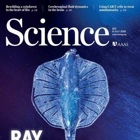 scient的所有形式(salient最重要的显著的)