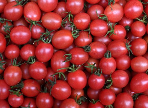 圣女果是不是转基因（科普圣女果小番茄）(3)