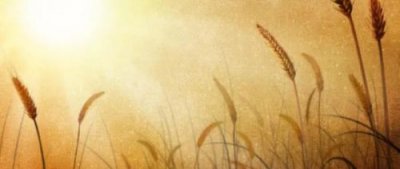 ​贻笑大方是什么意思解释？让人贻笑大方是什么意思