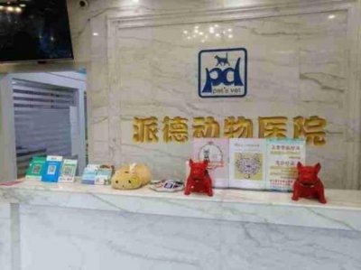​郑州宠物医院排名前十名