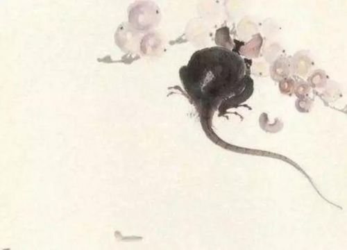 硕鼠硕鼠无食我黍什么意思(硕鼠硕鼠无食我黍黍指的是)-第1张图片-