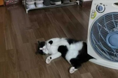 ​6斤有多重参照物