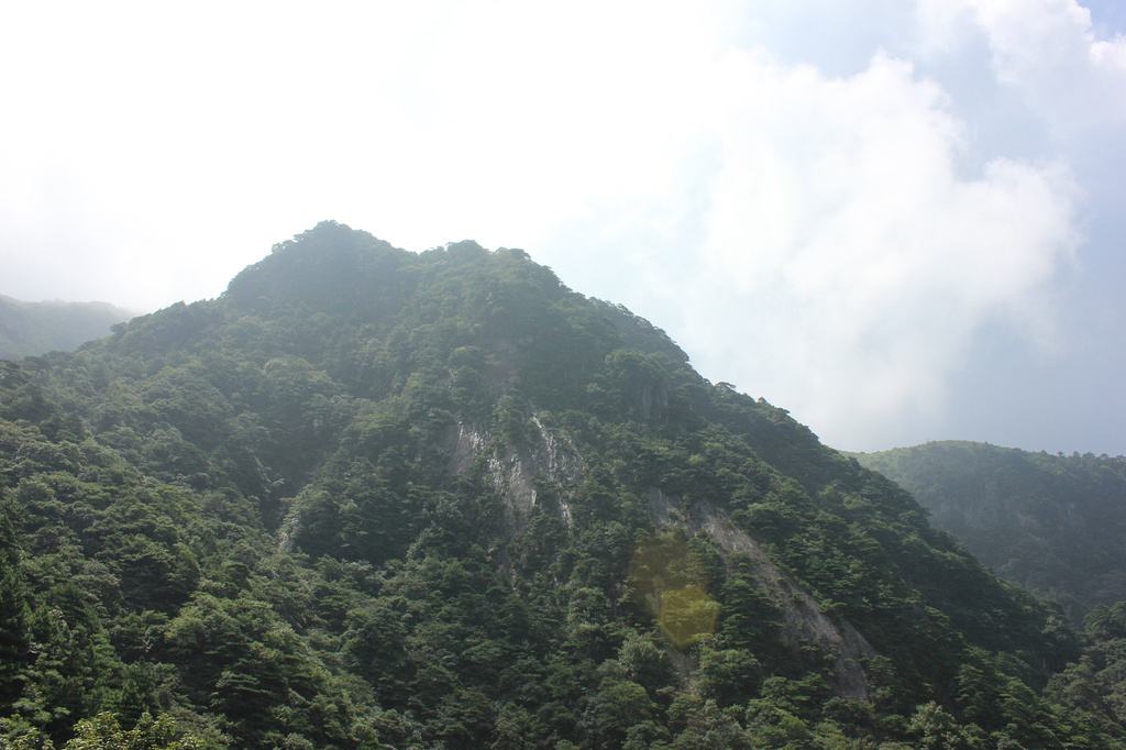 交口县属于山西省哪个市(山西交口县属于什么市)