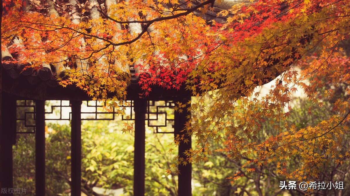 苏州旅游攻略必去景点推荐(苏州旅游景点哪里好玩)