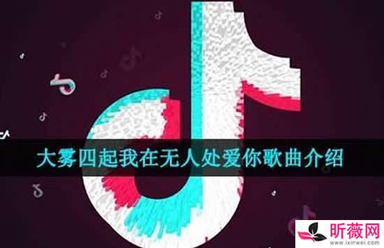 何洛洛个人资料及年龄 人气就一直非常的高