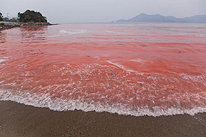 埃及人的真实生活(埃及人生活水平怎么样)