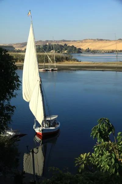 埃及人的真实生活(埃及人生活水平怎么样)