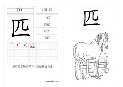 ​马匹的拼音（马匹怎么读）