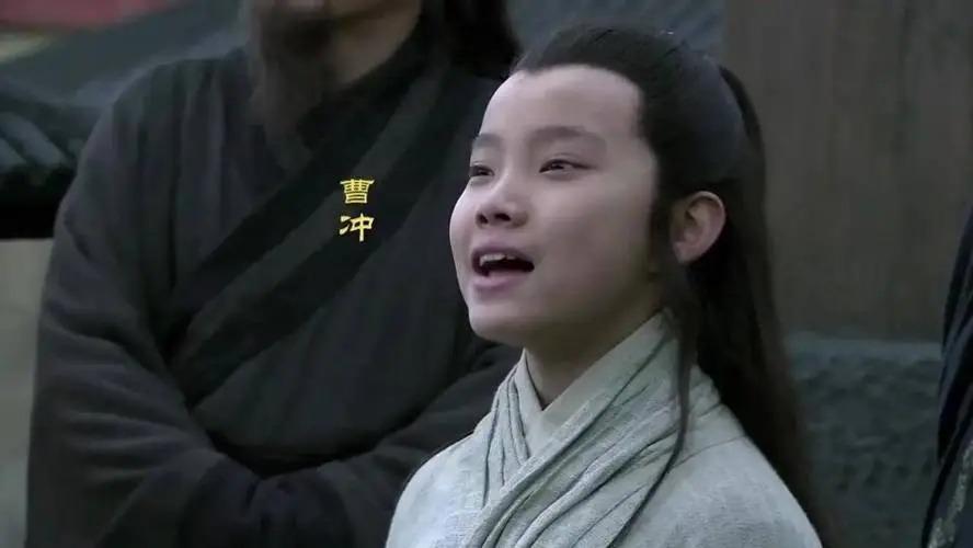 曹冲个人简介：因年少“称象”成名，世人皆夸他聪慧，为何司马懿却说他蠢？