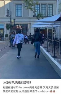 ​刘亦菲回到美国！穿皮衣背影太有明星范了，真人又美又高太吸睛了