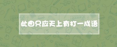 ​此曲只应天上有打一成语