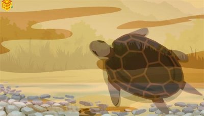 ​动物有哪些种类