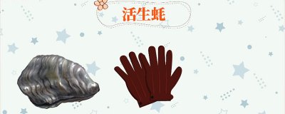 ​生蚝的清洗方法