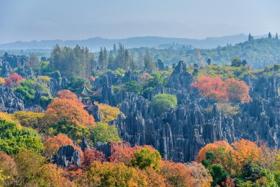 ​昆明的旅游景点有哪些地方(云南昆明旅游必去的5个景点)