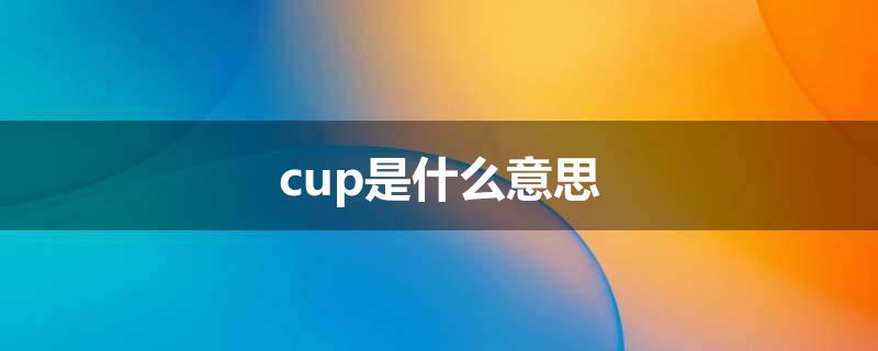 cup是什么意思