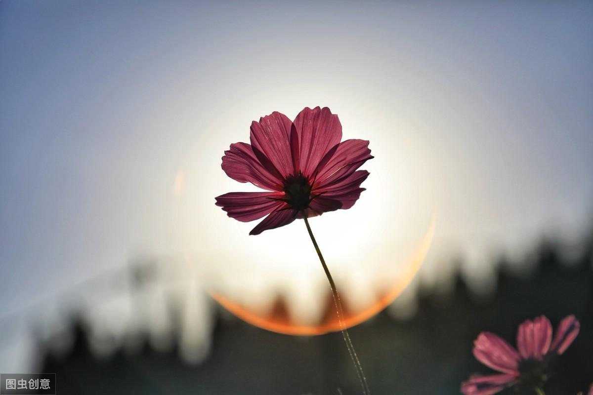 徐志摩经典渣男语录(徐志摩的经典爱情语录)