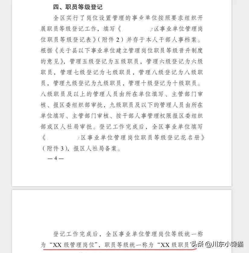 八级职员跟副科区别(八级职员是什么级别)