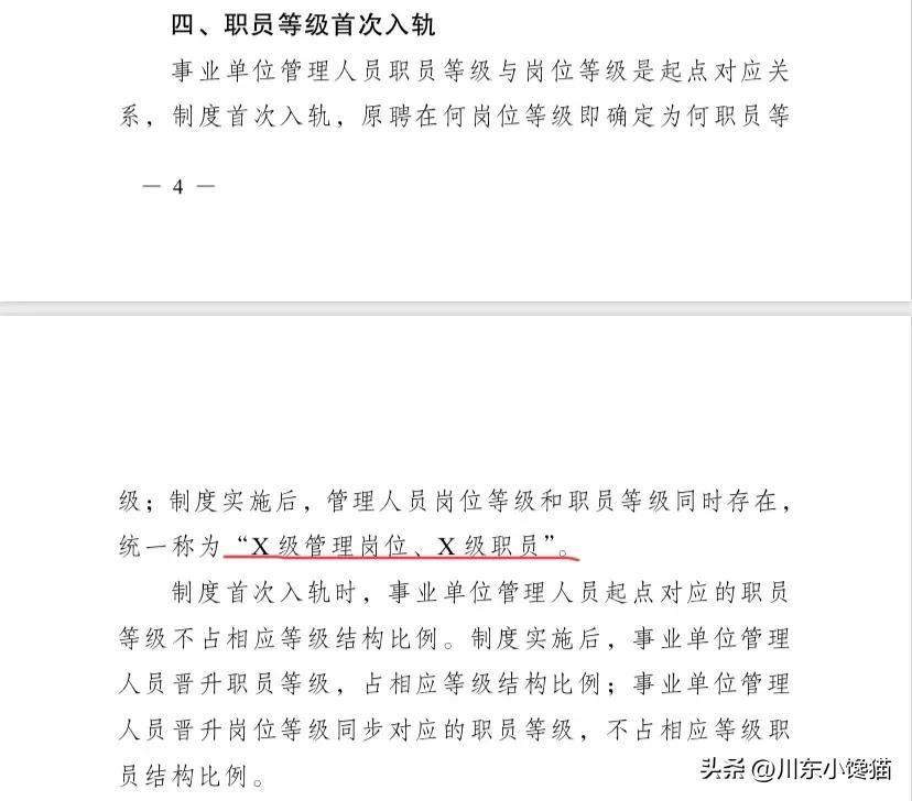 八级职员跟副科区别(八级职员是什么级别)