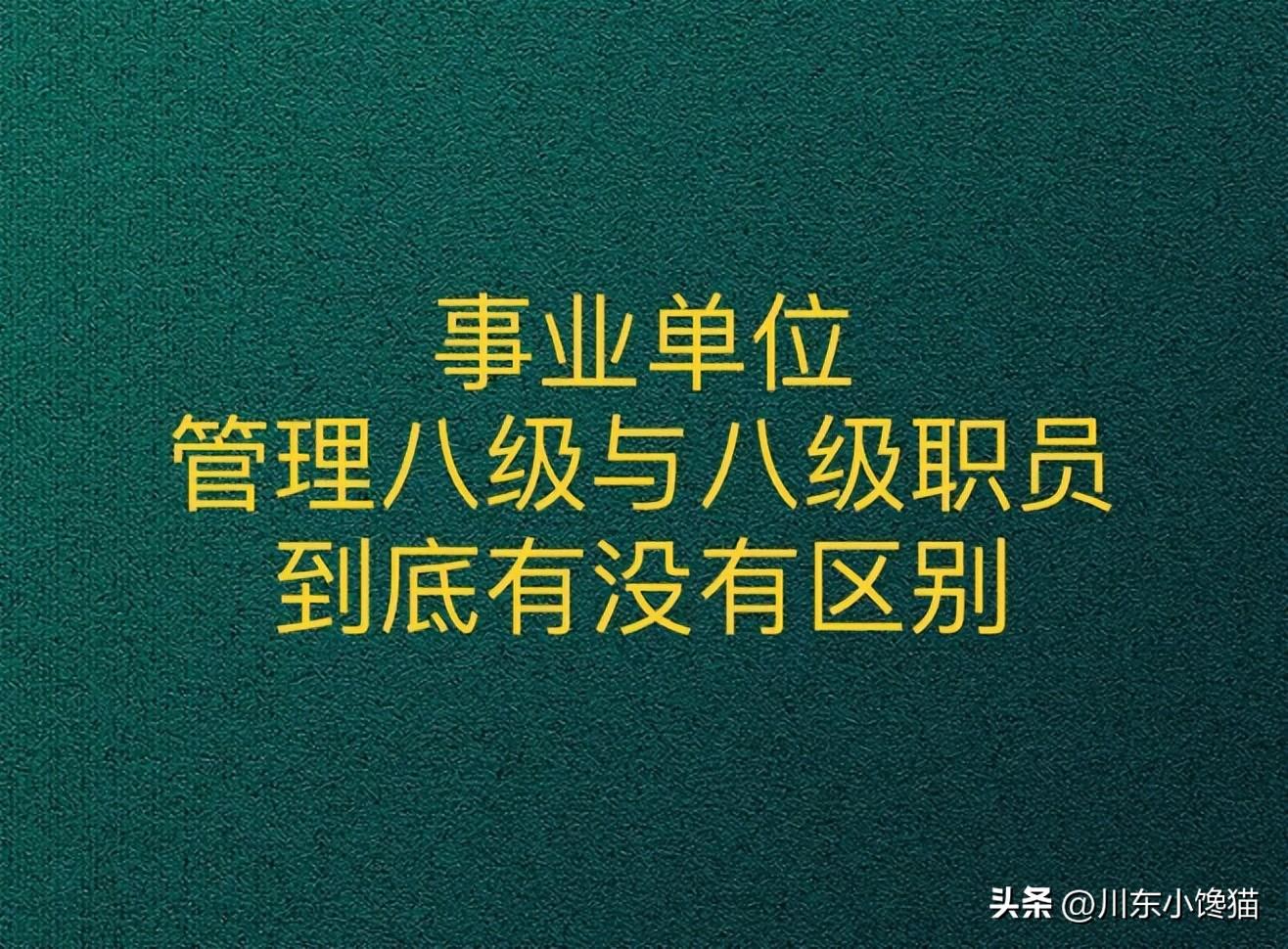 八级职员跟副科区别(八级职员是什么级别)