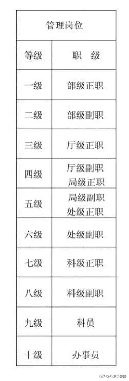 八级职员跟副科区别(八级职员是什么级别)