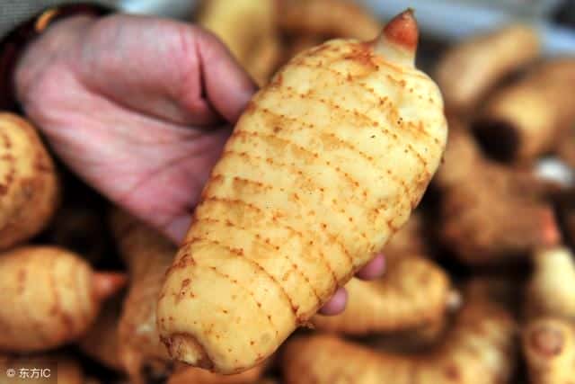 天麻不适宜哪些人吃（与天麻相克的食物）